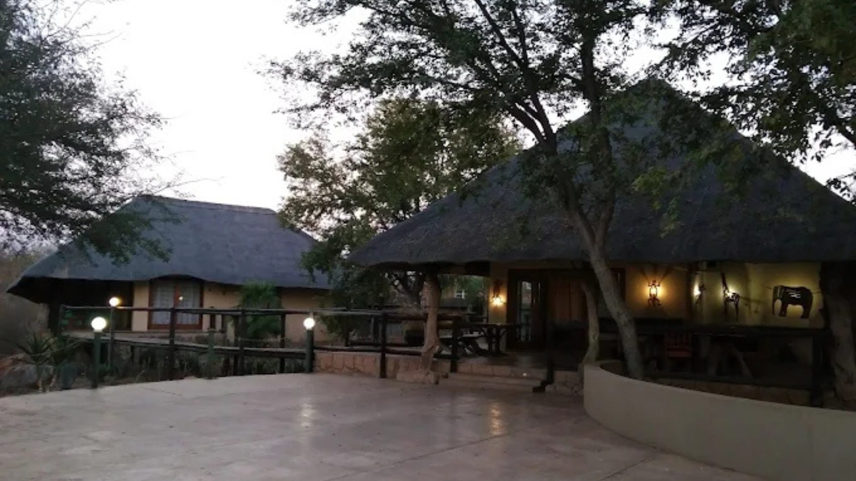 Farm Benny - Limpopo Bushveld - Photo 3