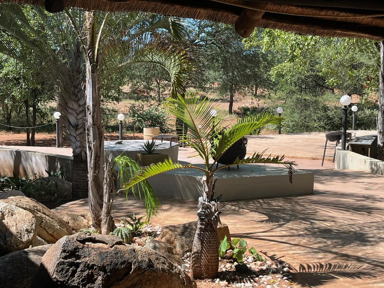 Farm Benny - Limpopo Bushveld - Photo 4