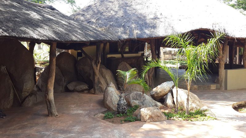 Farm Benny - Limpopo Bushveld - Photo 8