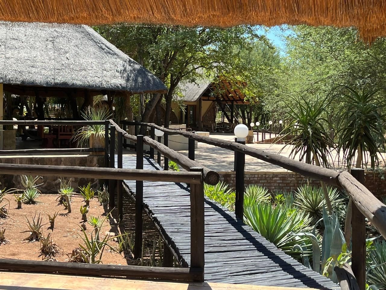 Farm Benny - Limpopo Bushveld - Photo 10