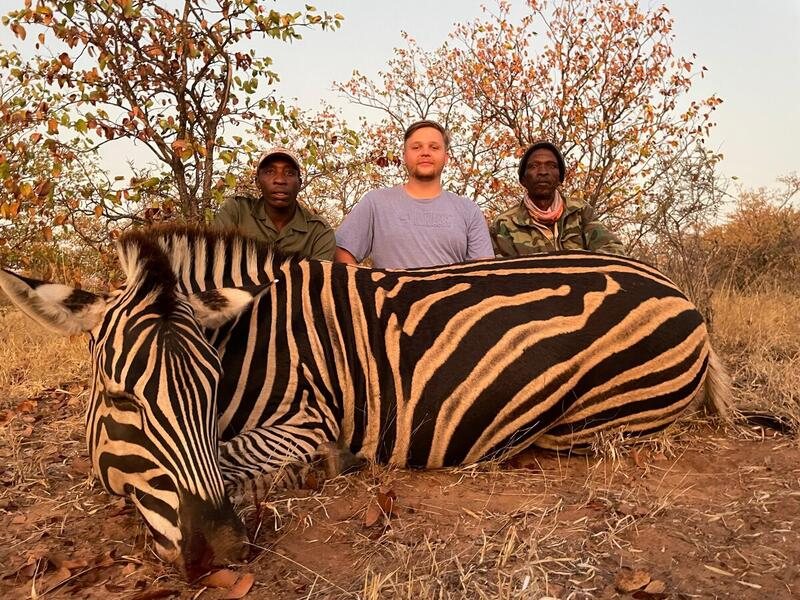 Zebra Safari Hunt