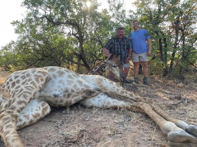 Giraffe Safari Experience