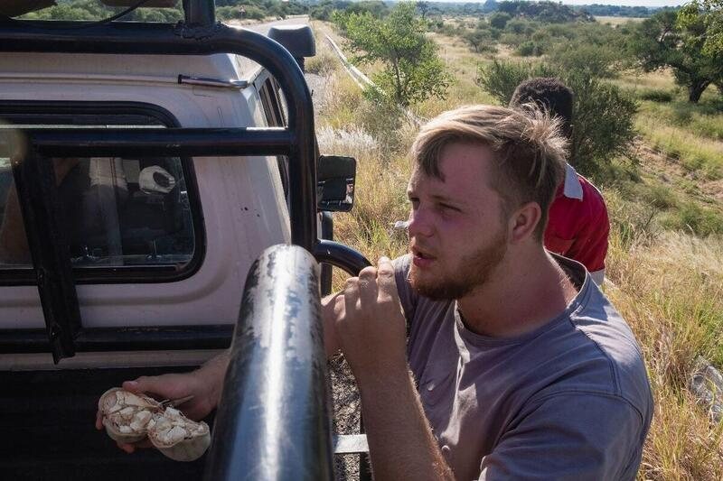 Safari Team in Action